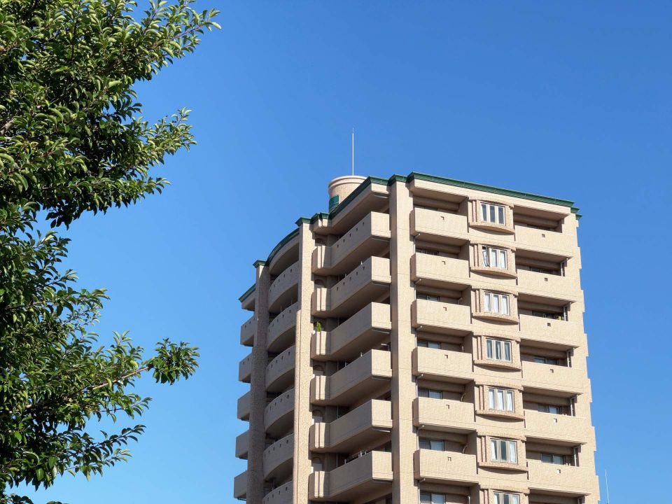 宝達志水町に息づく平屋文化と地域が紡ぐ暮らしの美学と持続可能な住まい