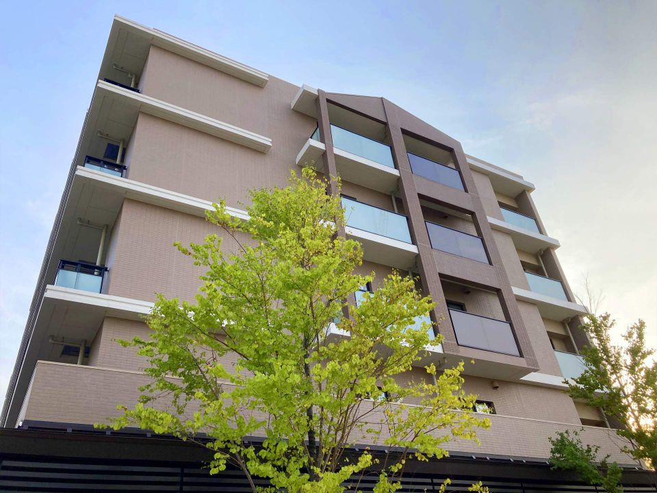 小松市で進化する平屋住宅伝統と自然が調和する新しい住まいのかたち